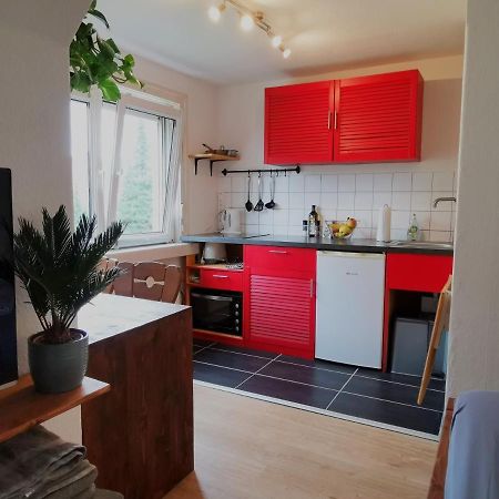 Kleines Studio Am Uni-Campus - Perfekt Fuer Junge Unternehmungslustige Dresden Luaran gambar